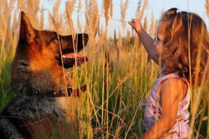 Момиче, родено без крака, се сприятели с кученце с три лапи